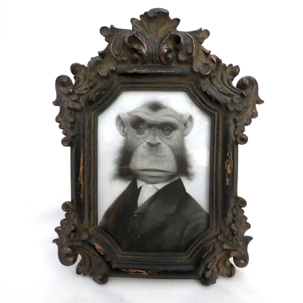 GOTHIC HALLOWEEN HORROR CREEPY MONKEY APE PORTRAIT FRAME ODDITY